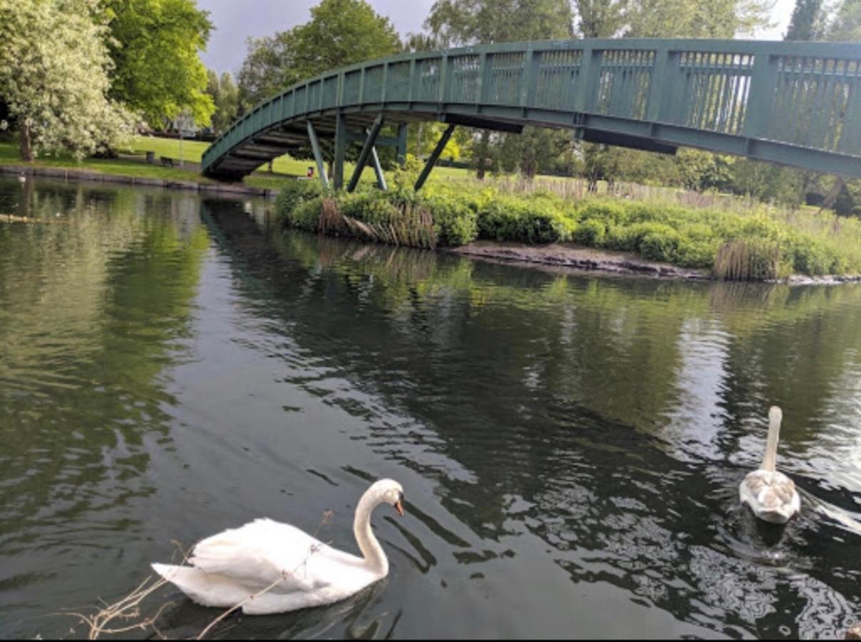 Beddington Park Lodge West 沃灵顿 外观 照片