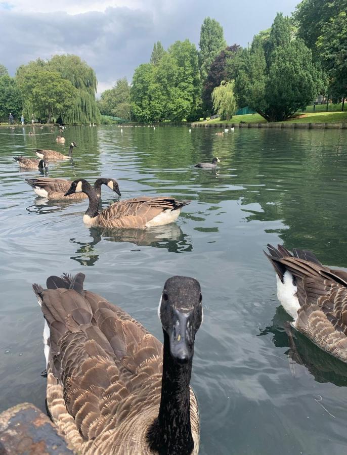 Beddington Park Lodge West 沃灵顿 外观 照片